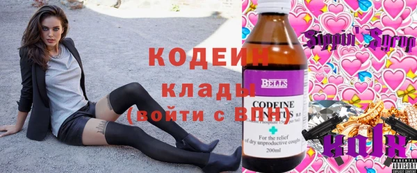 бошки Бородино