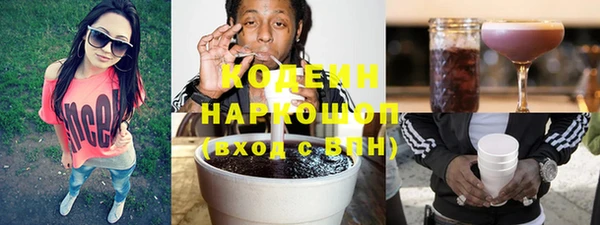 бошки Бородино